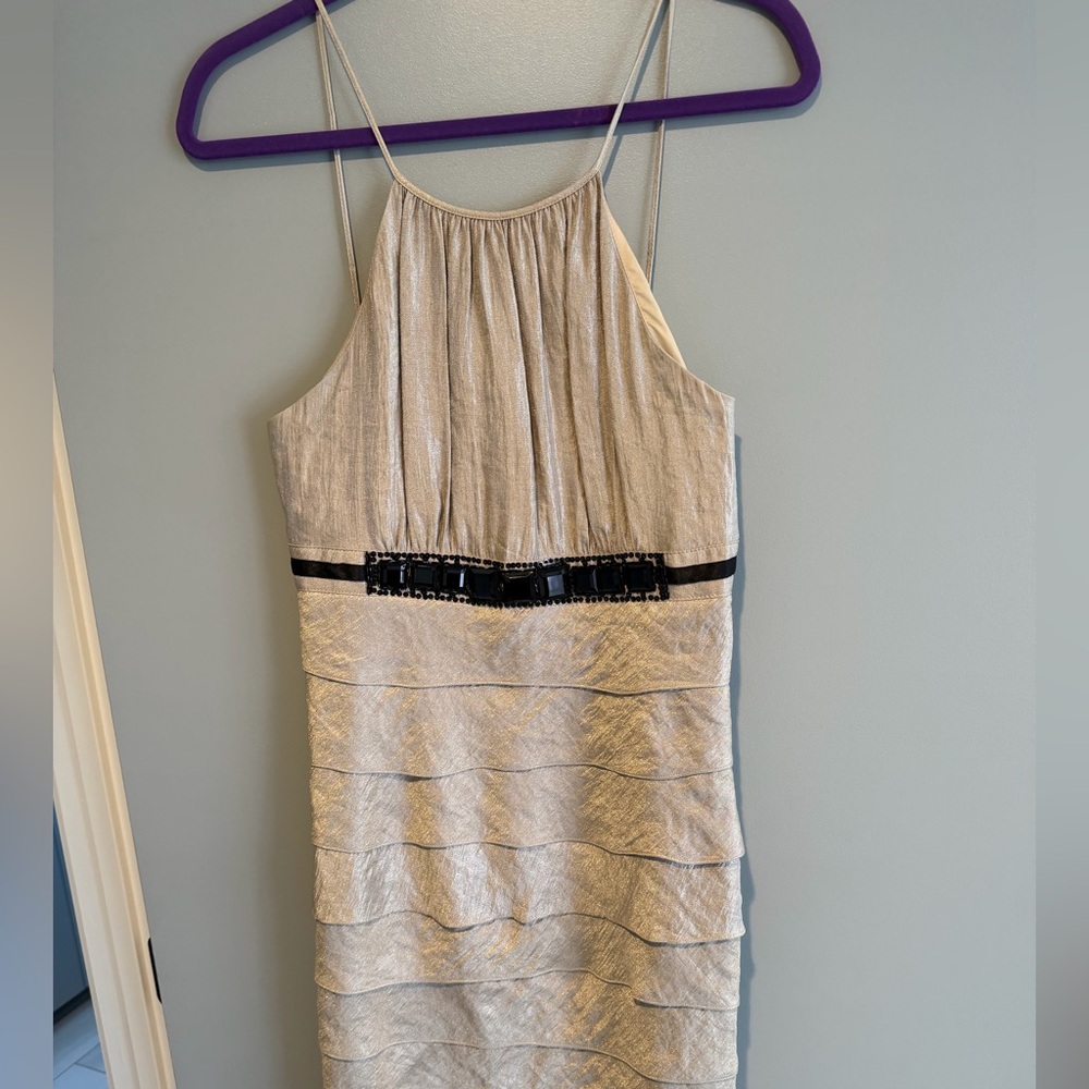 I.N. Studio Metallic Backless Dress with Black Detail